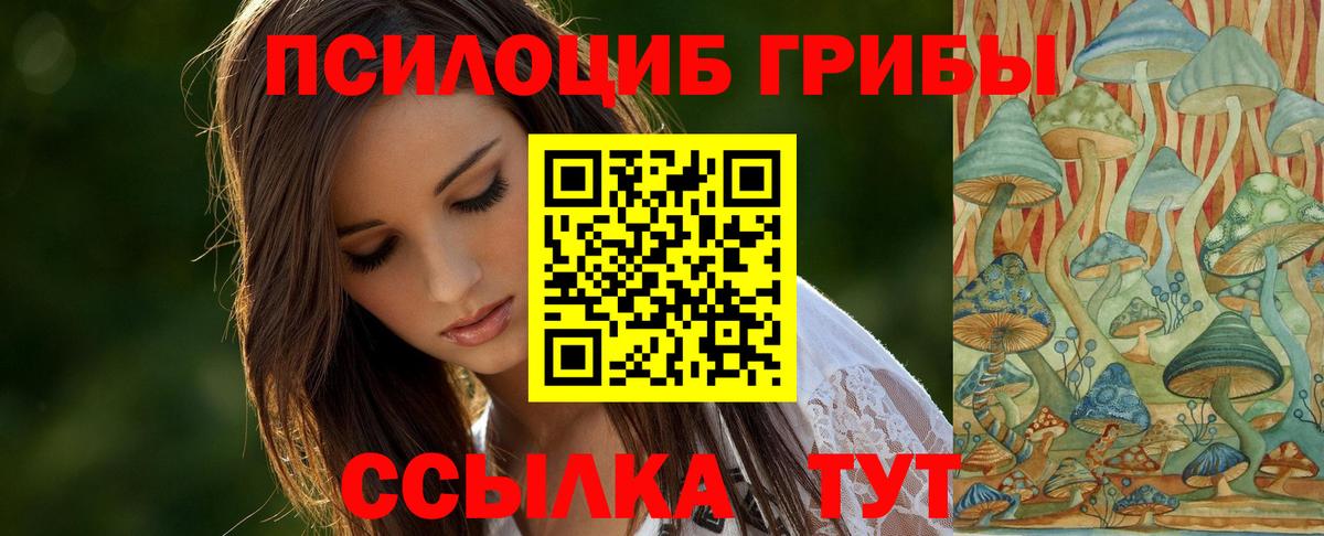 Бахчисарай  Галлюциногенные грибы Psilocybine cubensis  Галлюциногенные грибы Psilocybine cubensis  Вход с VPN 